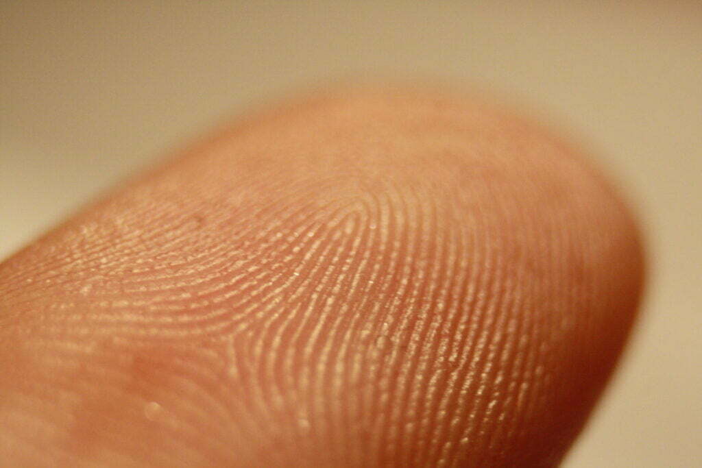 Fingerprint_detail_on_male_finger